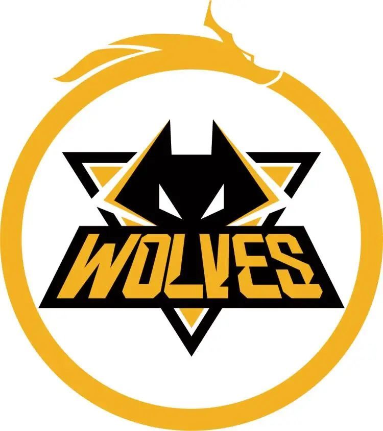 Eternal Fire 发布了一个新阵容